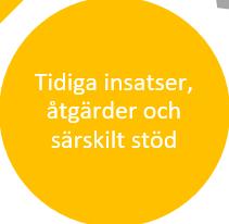 Beroende på de resultat som framkommit och den analys har som gjorts behöver olika insatser/åtgärder samt extra anpassningar och särskilt stöd sättas in, direkt när ett behov uppmärksammas eller
