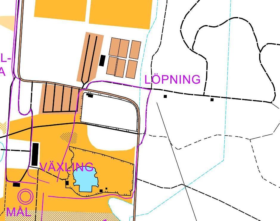 Tävlingsbanan för löpmomentet i Tri4fun-tävlingen. Löparna löper ut åt norr och passerar i kanten på parkeringen och korsar bilvägen. Funktionärer finns både på parkeringen och vid vägpassagen.