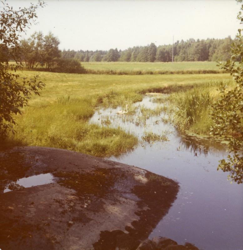 Bodaneälven vid Ringevallebroa i Tjärtakan nr