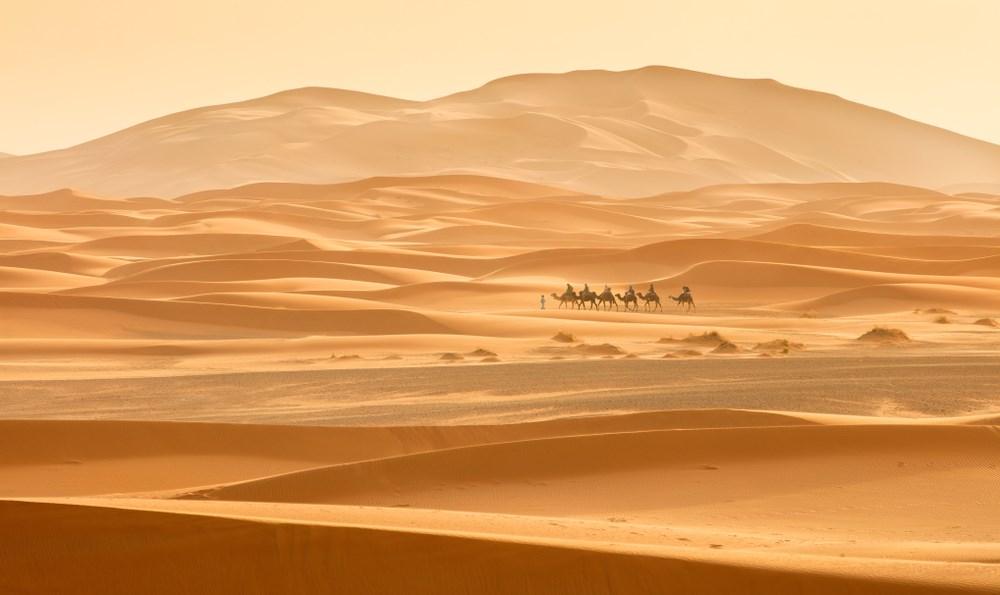 I världens största öken, Sahara i Afrika, pågår ett spännande projekt som fått namnet Desertec. Man planerar att installera en jättelik solgård, som ska bestå av en stor mängd solfångare.