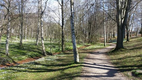 April 2017 Komplettering av belysning i vårt område kommer att starta vecka 15 Vi vill gärna ha era synpunkter gällande städningen i våra hus nu när vi har avtal med en ny firma, både ris och ros!