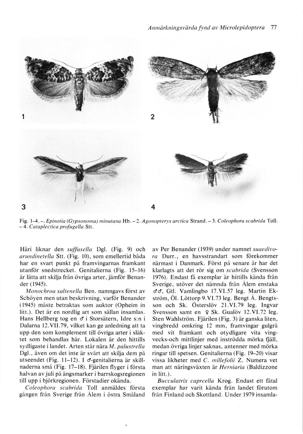 Attrntirkningsviirda Jynd av Microlepitloptera 77 3 Fig. l-4. -.