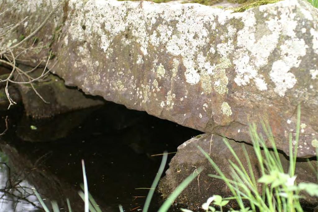 Bysjön, Fullsta: Hårklomossa hittades här vid Värkbäckens utlopp, X:6673677 Y:1540330 med sparsam förekomst på en gråvidestam tillsammans med klomossa.