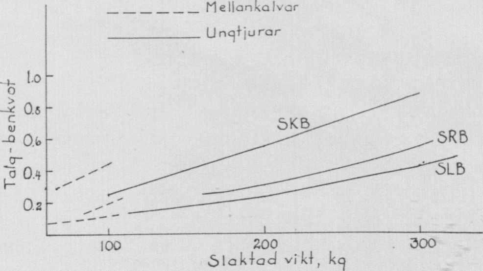 HOS NÖTKREATUR %