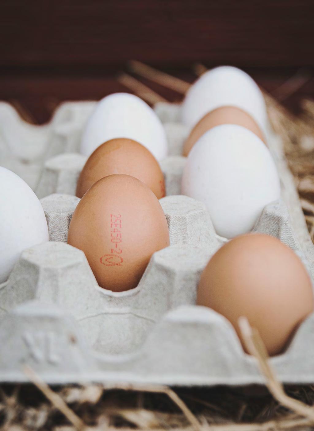 Välj ägg från Sverige Så vet du att ägget är svenskt Varje ägg har en rosa kod som berättar varifrån ägget kommer och hur det är producerat.