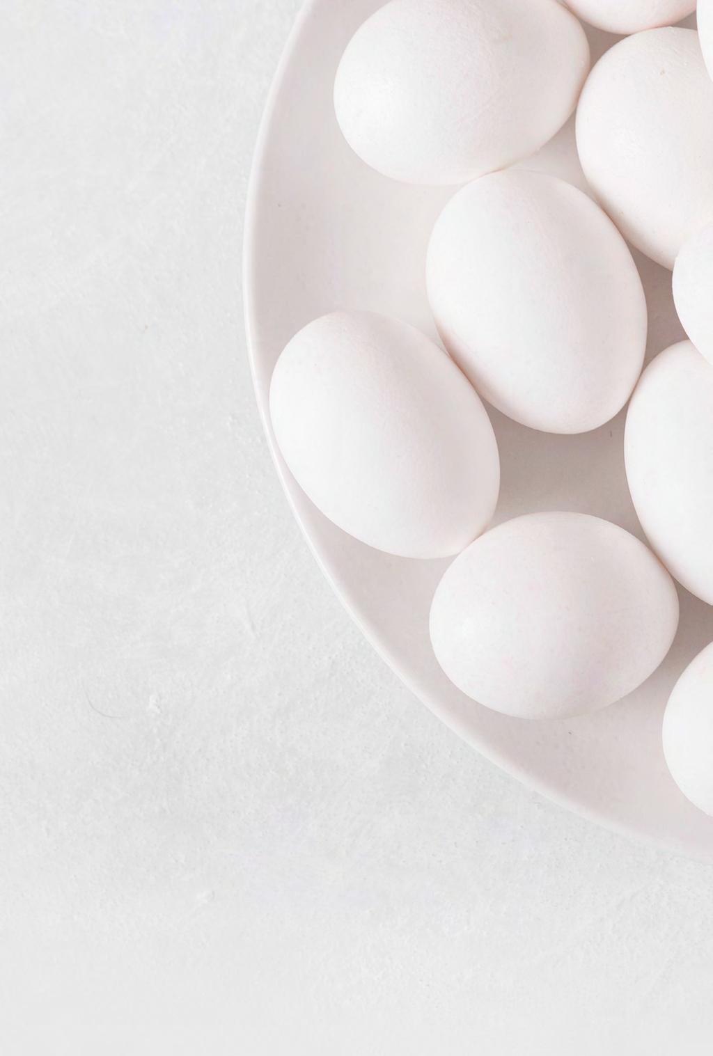 De fyra produktionssätten I Sverige har vi fyra godkända system för att producera ägg.