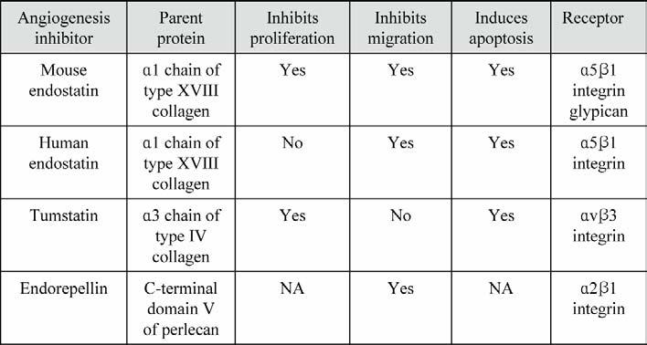 Endogenous angiogenesis inhibitors Dr. Judah Folkman hypothesized that tumor growth is dependent on vascularization.