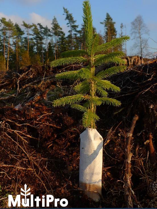 De giftfria plantskydden kan i sin tur delas in i två olika grupper; beläggningsskydd och barriärsskydd.