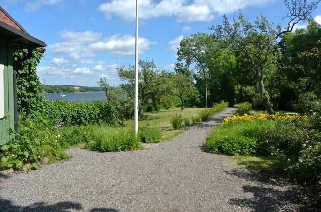 DEN LÅNGA TRÄDGÅRDEN INNEHÅLLER BLAND ANNAT FRUKTTRÄD OCH ROSOR. MOT VATTNET AVGRÄNSAS TRÄDGÅRDEN AV EN HÄCK. FOTO: J. MALMBERG. sten till terrassmurar i den nya anläggningen.