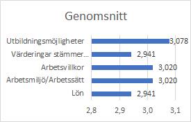 3. Rangordna vad du anser vara viktigast på en arbetsplats av följande, 1 är minst viktigt och 5 viktigast.