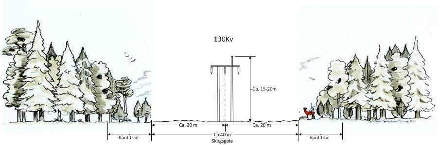 Skogsgatans bredd blir ca 40 m bred för portalstolpar och ca 35 m för enbenta stolpar, se figur 4 och 5 för exempelbilder på skogsgatorna för de båda