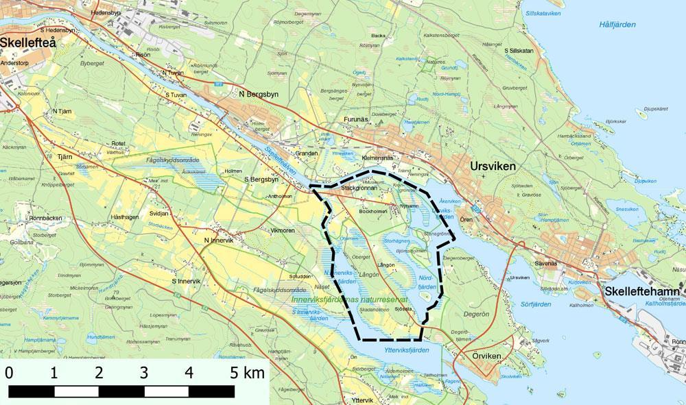 1 Inledning I den fördjupade översiktsplanen som antogs år 2011 (Skellefteå kommun 2011) för Skelleftedalen föreslås att mindre kompletterande bebyggelse kan