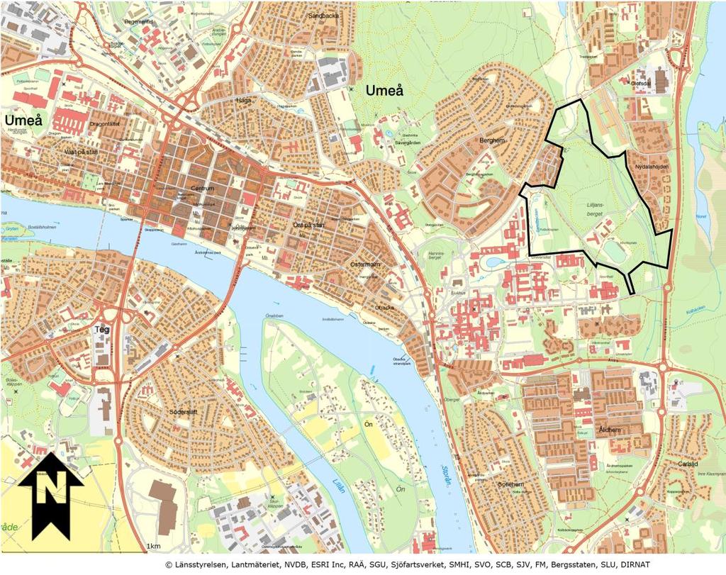 1 BAKGRUND OCH BESKRIVNING AV OMRÅDET Umeå kommun har för avsikt att upprätta en ny detaljplan för området Lilljansberget, se Figur 1.