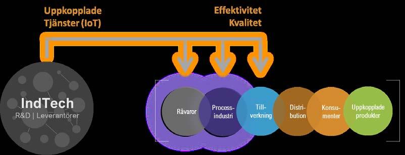 5 (16) 2 Vad vill PiiA åstadkomma med finansieringen?