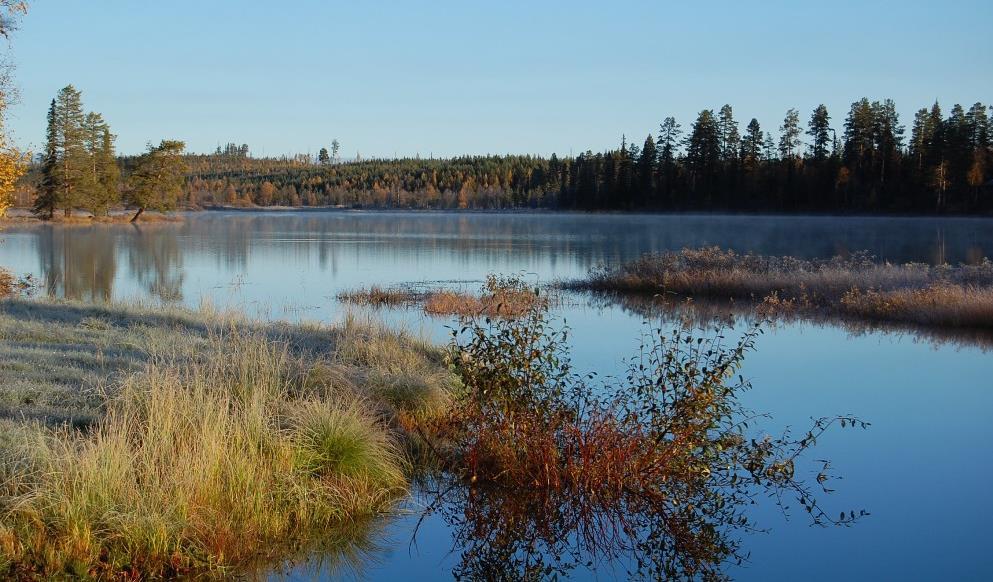 Ett vattenförande element i Åsele kommun.