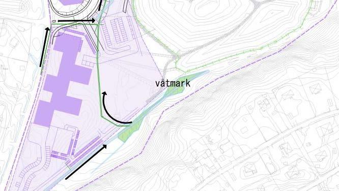 Vattnet i denna våtmark bedöms vara renare än vattnet i de andra dammarna, vilket gör den till ett lämpligt habitat för t ex groddjur och salamandrar.