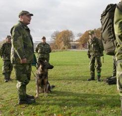 INSTRUKTÖR TILLÄMPNING UNGDOM Kursen syftar till att ge dig en fortsatt utbildning för att erhålla formell kompetens som instruktör, främst inom ungdomsverksamheten.