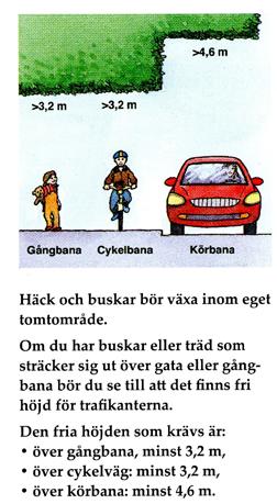 Det säger Birgitta Eiderfeldt, ansvarig på kommunen för bland annat fastighetsägarnas skötsel av häckar, träd och buskar.