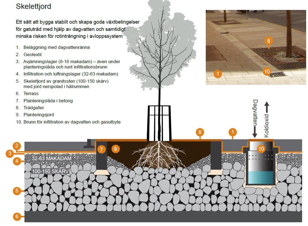 1.3 TRÄDPLANTERING I SKELETTJORD Skelettjordar är en variant på perkolationsmagasin som framförallt är praktiskt intill hårdgjorda ytor där tillräcklig jordvolym för träden inte kan avvaras.