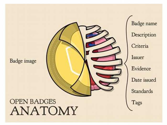 Vad är en Open Badge? En badge är en digital bild som ger verifierbar information om prestationer, färdigheter, kompetenser eller en enskild persons kvalitéer.