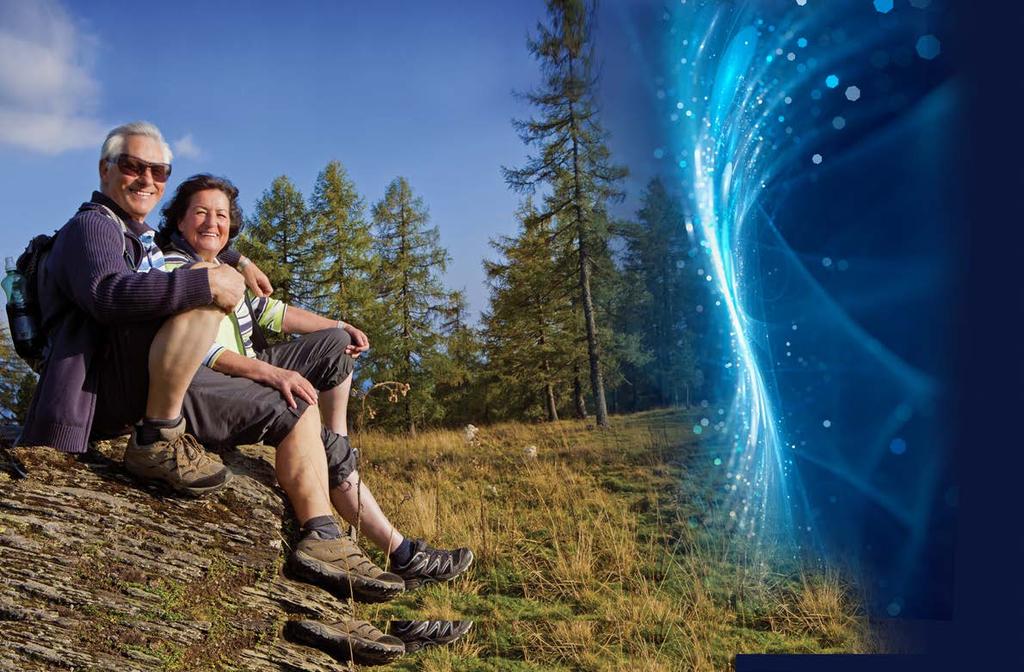 ženšenu pravého (Panax Ginse