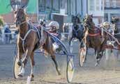 OSA L.A. : *, AK 9, M Total: --.9,mr.h.e eady ash - 9: --,a.