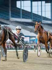 Total: --.,fux.v.e Love You - 9: 9 --,a. : 9 --,a 9. Whoopie As e S..'s Photo onrad Lugar Ax 9/- / ita, ' Uppf: Stal Quattro V.O.F.