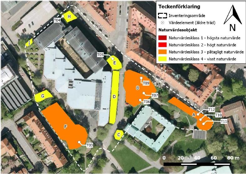 Naturvärden Inom ramen för detaljplanen för Västra uppgången togs en naturvärdesinventering fram (Cowi, 2016-11-25), se bild med utdrag från utredningen nedan.