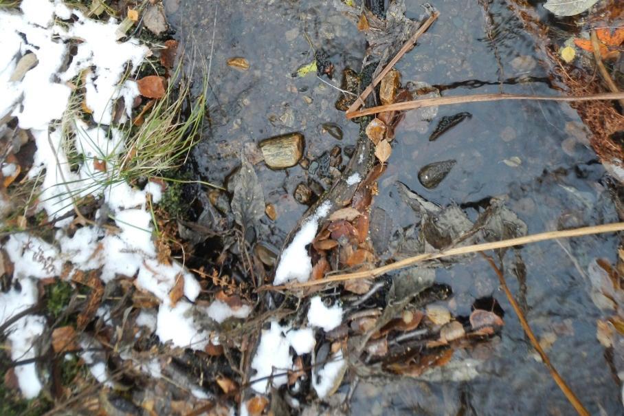 Ytterligare ett vattendrag som avvattnar branten påträffas ännu mer till väster. Vattenflödena är generellt små och i flackare partier står vatten i bäcken.