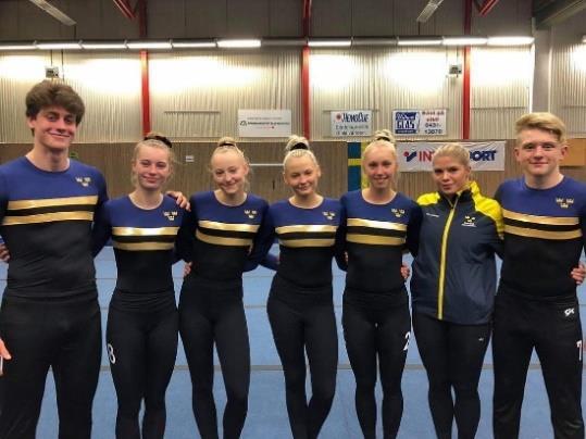 För gymnasternas del så har det getts möjlighet att delta på flera olika läger som föreningen arrangerat, vi hade läger på både påsklovet, sommarlovet och på höstlovet.