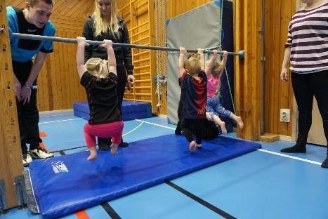 BARN-UNGDOM OCH VUXNA Även i år har vi haft flest medlemmar under kategorin: barn- och ungdomsgymnastik.