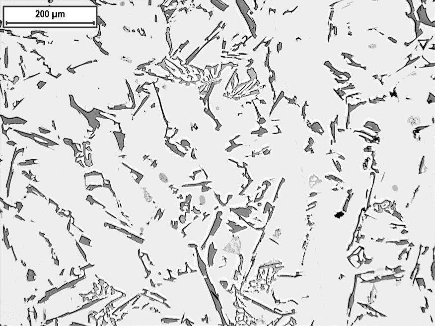 Mikrostruktur vid 110X förstoring Bild 7 Prov 0 <0,0010ppm Sr