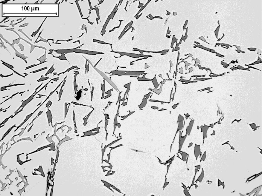 Bild 19 Prov 6 <0,0010ppm Sr Förstoring: 220X Mörkgrå kiselfas