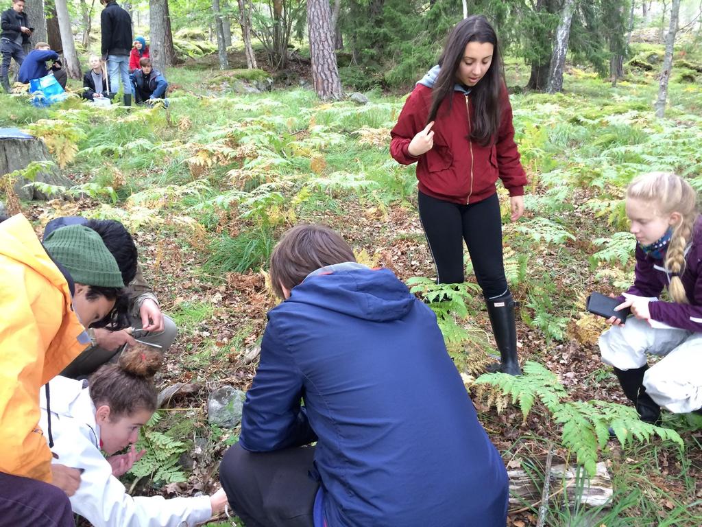 1. En modell WWF:s modell för lärande för hållbar utveckling.