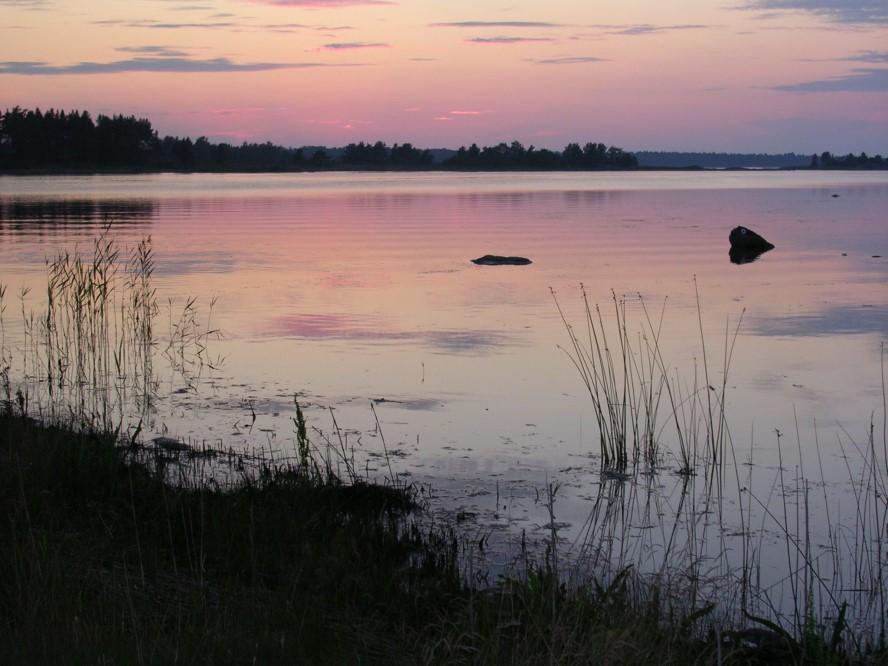 Hejsan! Vasa, 14 maj 2019 Äntligen är våren här! Alla flyttfåglar har kommit, och tyvärr också myggen. I sommar far vi igen till Fagerö på dans och buffémiddag tillsammans med DUV i Sydösterbotten.