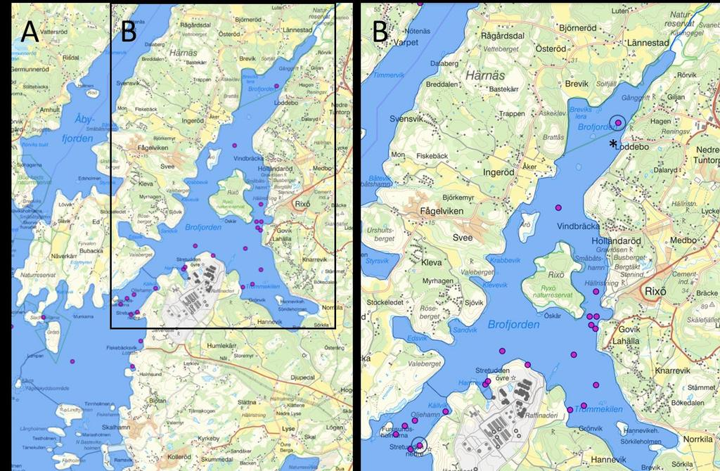 3 Beskrivning av havsområdet 3.1 Geografi och hydrografi Brofjorden som helhet utgörs av två vattenförekomster; Brofjorden i den norra delen av fjorden och Yttre Brofjorden i den södra delen (Fig. 1).