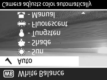 Dac setarea este alta decât valoarea prestabilit 0 (zero), num rul va fi afişat în ecranul Live View (Vizualizare live) lâng pictograma.
