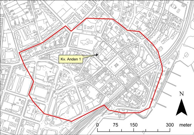 Bakgrund Sölvesborgs kommun meddelade under våren 2004 Länsstyrelsen sina planer att låta exploatera en yta inom den centrala stadskärnan.