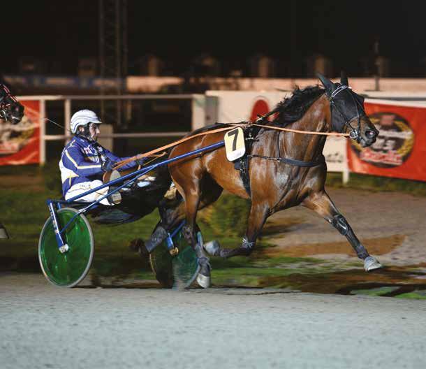 15 OKTOBER FÖRSTA START 18.0 FALKÖPINGDAGEN MED Breeders Crown Uttagningar Bild: MVA Foto A-Posttidning Avs.