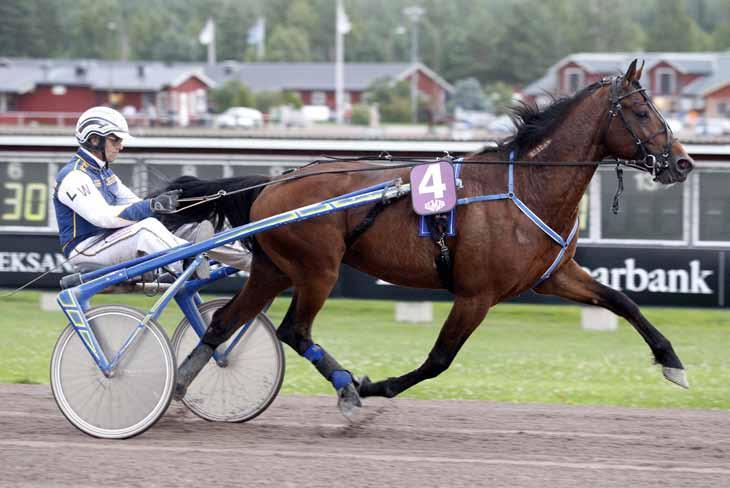 månadens häst september 2010 Rocky Race Hingst 5 år e. Super Arnie u. Etoile Race ue. Lindy s Crown. Ägare & uppfödare: Stall Horse Race HB, Nora. Tränare: Leif Witasp. Skötare: Eva Ek.