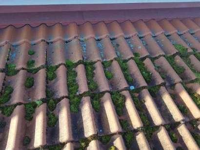 Tak En del mosspåväxt finns på takpannor. Mosspåväxt på taket kan leda till att taktäckningen har ett minskat motstånd mot vatteninträngning.