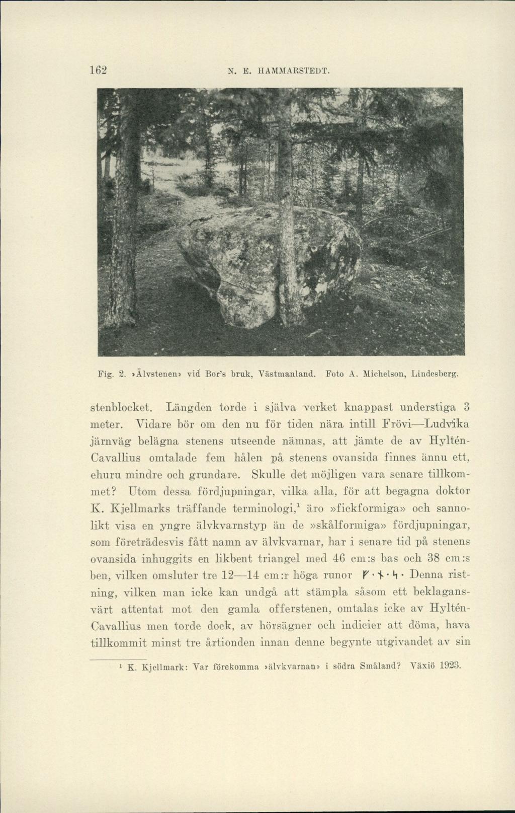 N. E. HAMMARSTEDT., < * Pig. 2.»Alvstenen» vid Bor s bruk, Västmanland. Foto A. Michelson, Lindesberg. stenblocket. Längden torde i själva verket knappast understiga 3 meter.