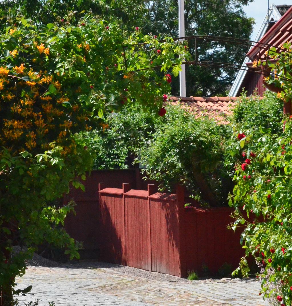 Häck, staket, plank eller mur