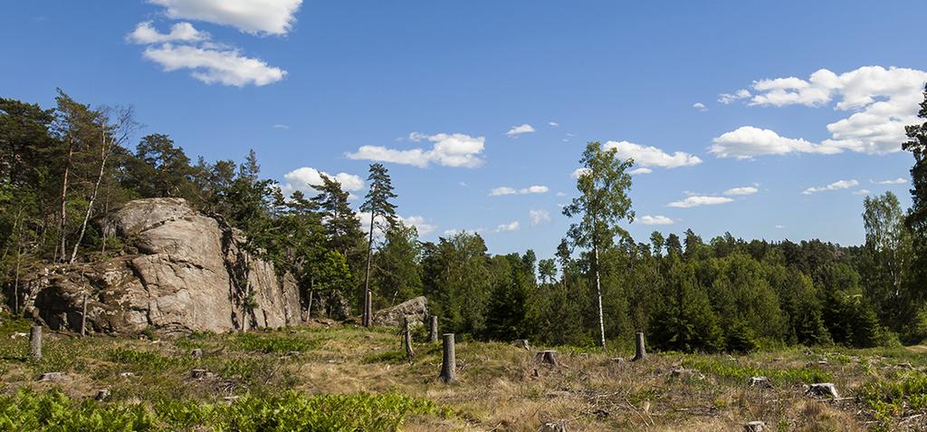 I övrigt ganska gott om små positiva grepp som är något kantiga/skarpa. En del grepp/steg lossnar fortfarande, men blir säkert bättre allt eftersom lederna får trafik.