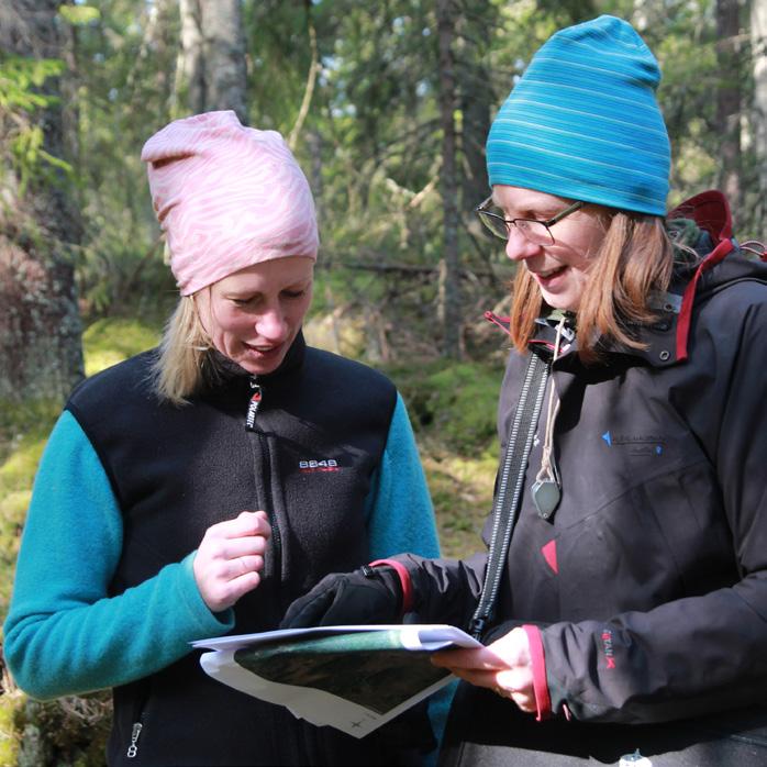 Naturvärden kan bevaras på olika sätt Ett områdes naturvärden kan bevaras på olika sätt.