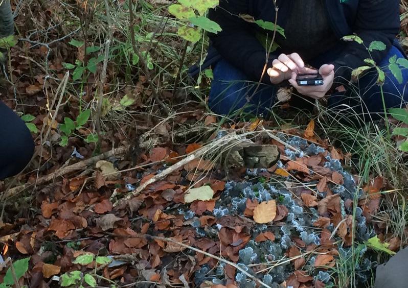 Biotopskyddsområde Mindre mark- eller vattenområden som utgör livsmiljö för hotade djureller växtarter eller som annars är särskilt skyddsvärda får förklaras som biotopskyddsområde.