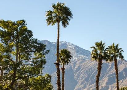 00. +1 Landsnumret till USA. +1 415 788-2631 Larmnummer knappar du in om du vill nå det svenska konsulatet i San Francisco. Hemsidan hittar du på S www.swedenabroad.