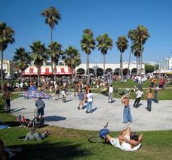 Pris: $165 per lektion för 1 elev, $100 per person för 2-4 elever. Är du van surfare kan du surfa vid stränderna i Santa Monica eller Venice. Där finns flera uhyrningsställen. S www.learntosurf.