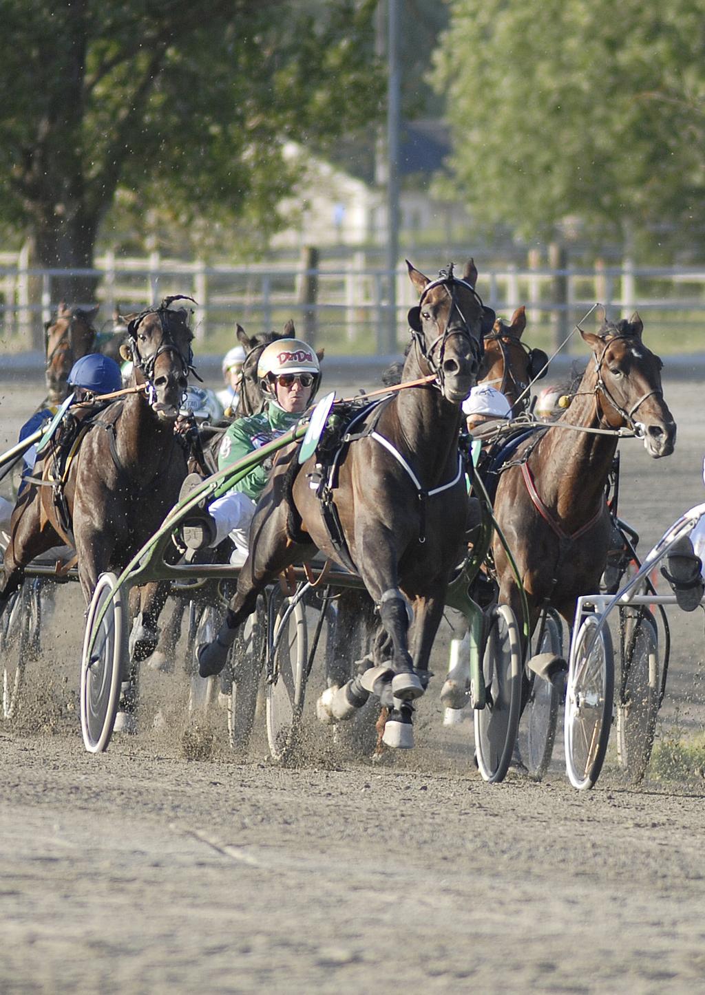 Förköpsinformation TRAVHÄSTFÖRSÄKRING