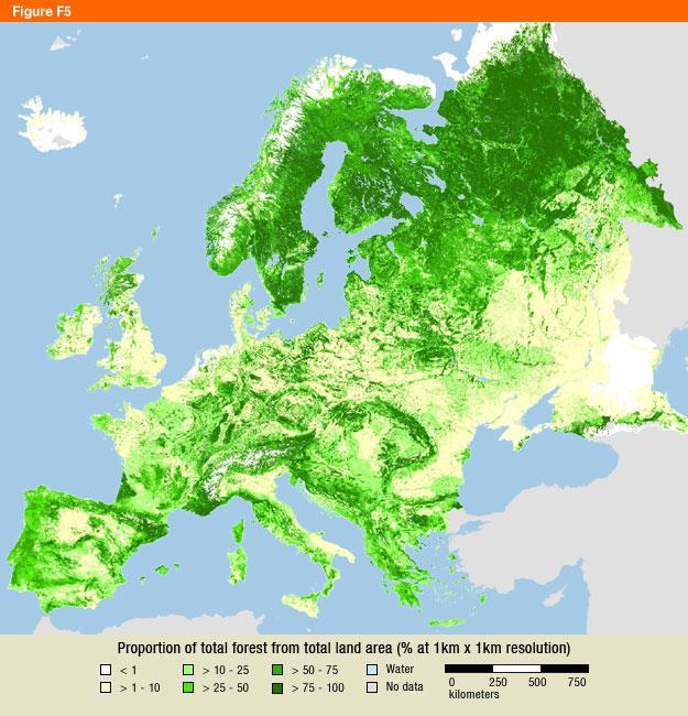 Var finns skogen för att